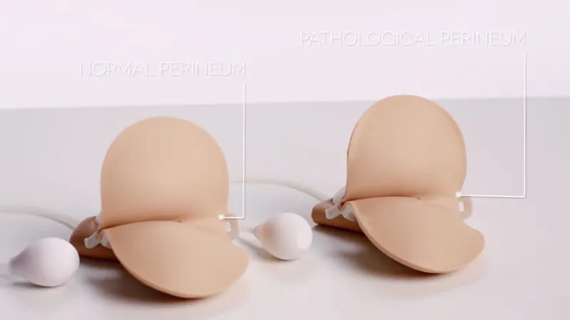 Male Rectal Examination Trainer - Advanced [60171]