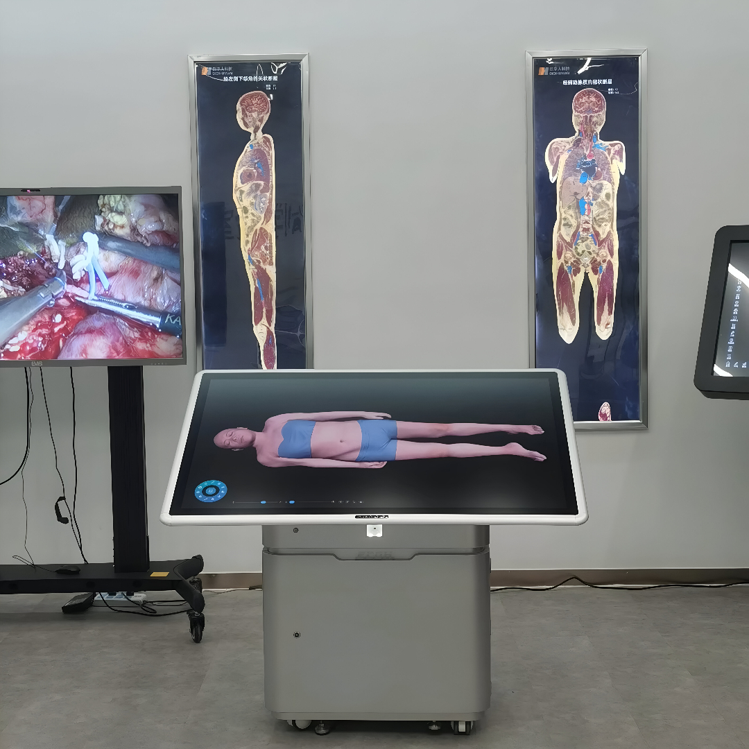 HD Digihuman Virtual Anatomy Mini Table 55 Inch [ECDH-Int II 55]