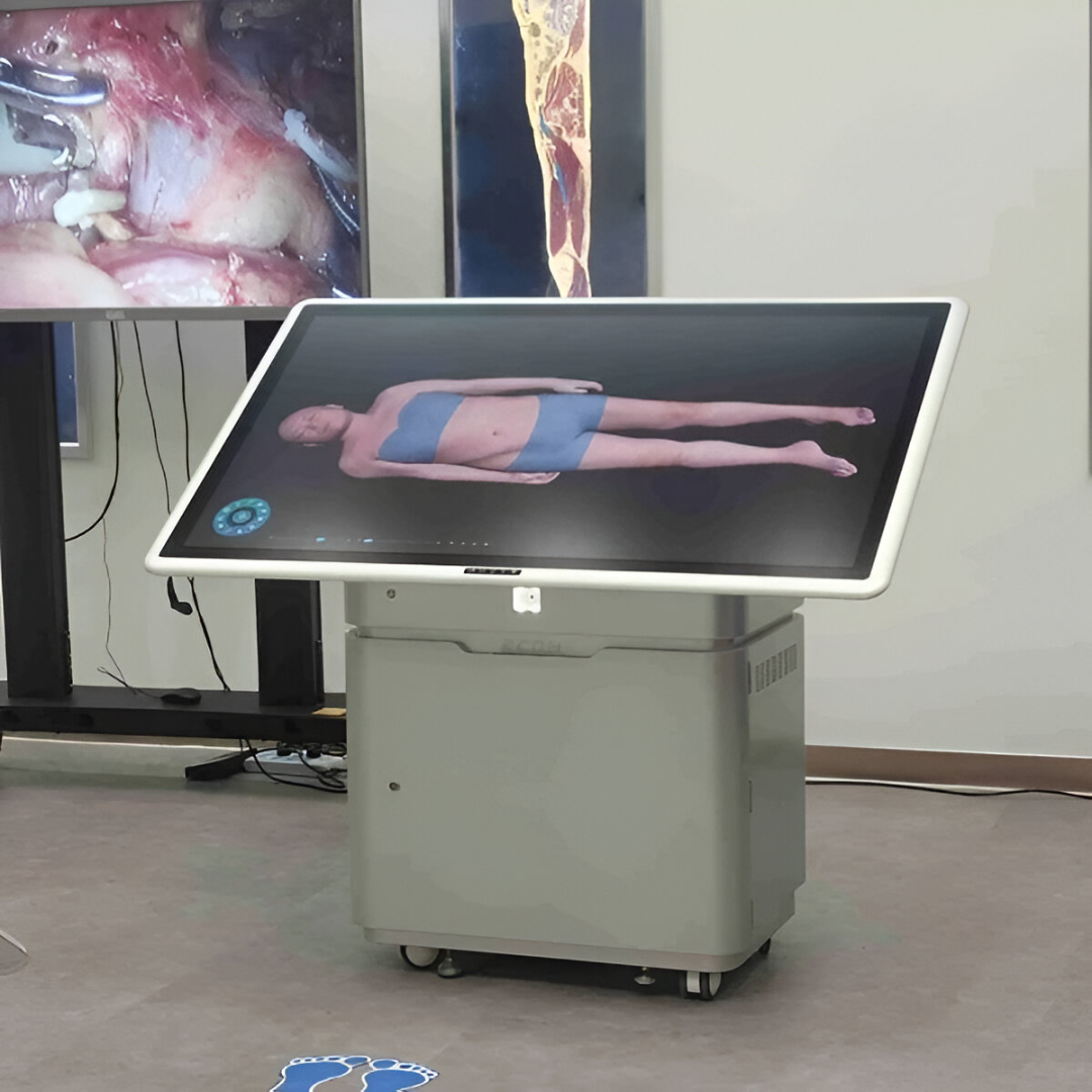 HD Digihuman Virtual Anatomy Mini Table 55 Inch [ECDH-Int II 55]