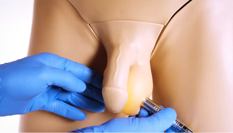 Clinical Male Pelvic Trainer (CMPT) Mk 2 - Standard (Light Skin Tone) (60951)