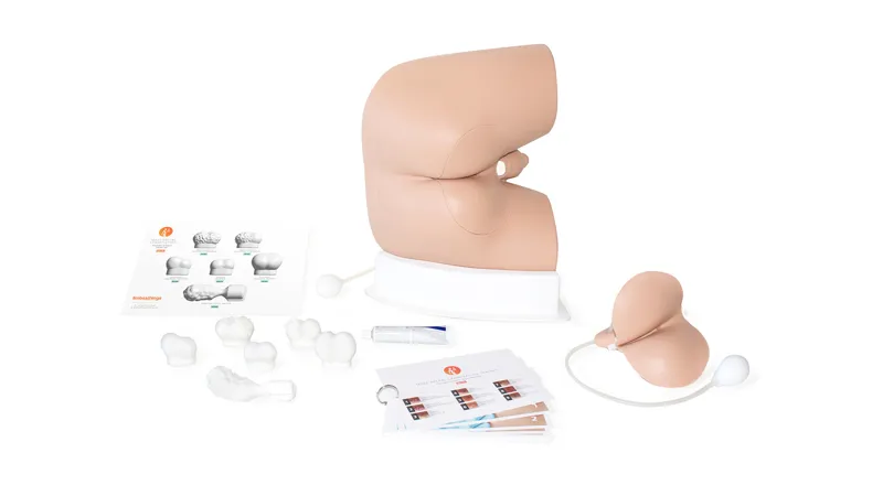 Male Rectal Examination Trainer - Advanced [60171]