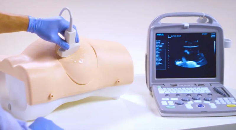 Paracentesis Trainer (Light Skin Tone) (60100 )